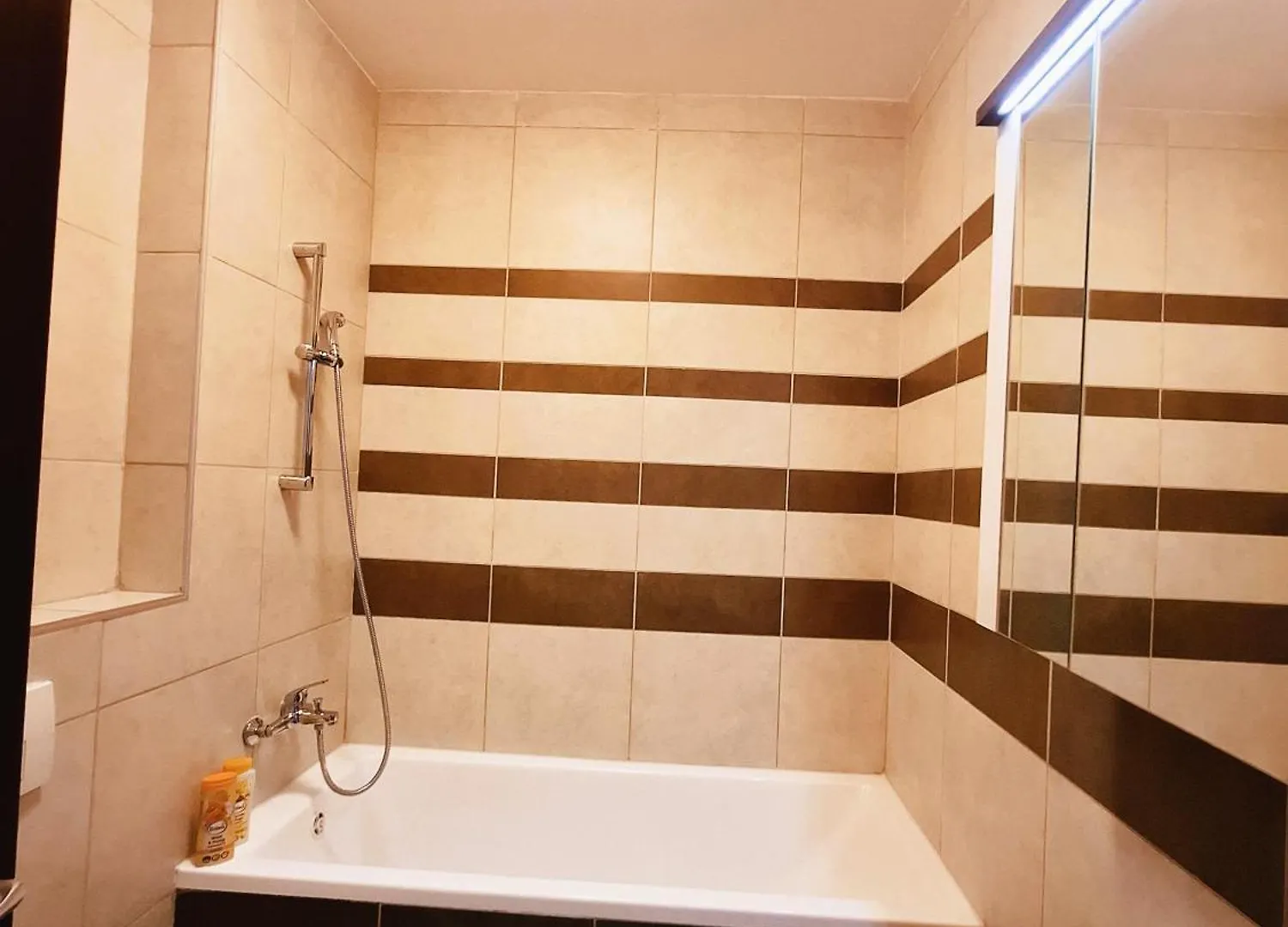 Bucharest Central F Apartment