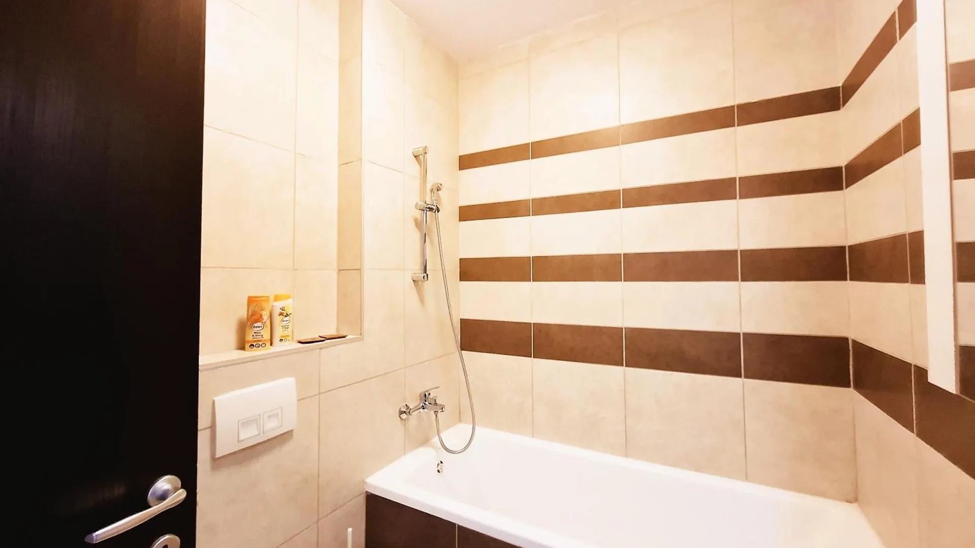 Bucharest Central F Apartment